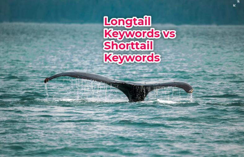 longtail vs short keywords